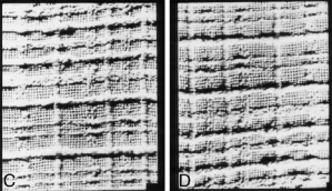 This is the same image as above except the image has been flipped up-down so that up is down and down is up.