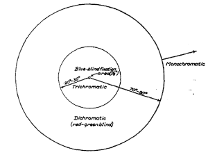 This diagram shows the different chromatic competencies in four areas of the retina (fovea, out to 20-30 degrees, out to 80 degrees and then the extreme periphery). In the fovea there are no S cones. In the inner 30 degrees (and outside the fovea) all 3 cone types are present. Stimulation in an annulus outside of that does not lead to trichromatic color perception but supports color perception similar to that of color blind individuals.Light that hits the far periphery does not result in color perception.